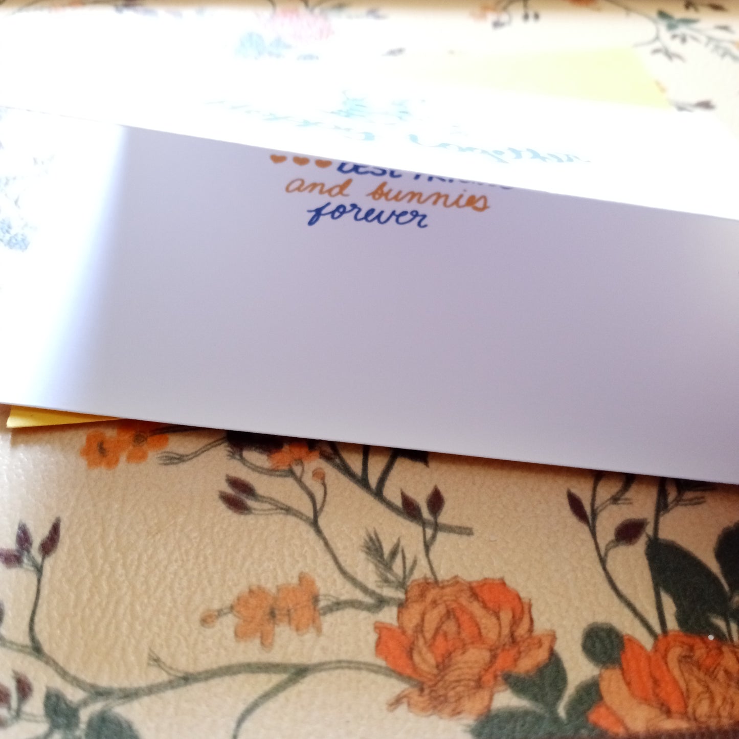 Hoppy Together Spring Collection Greeting Card With Envelope Greeting Cards Collection – Spring & Everyday