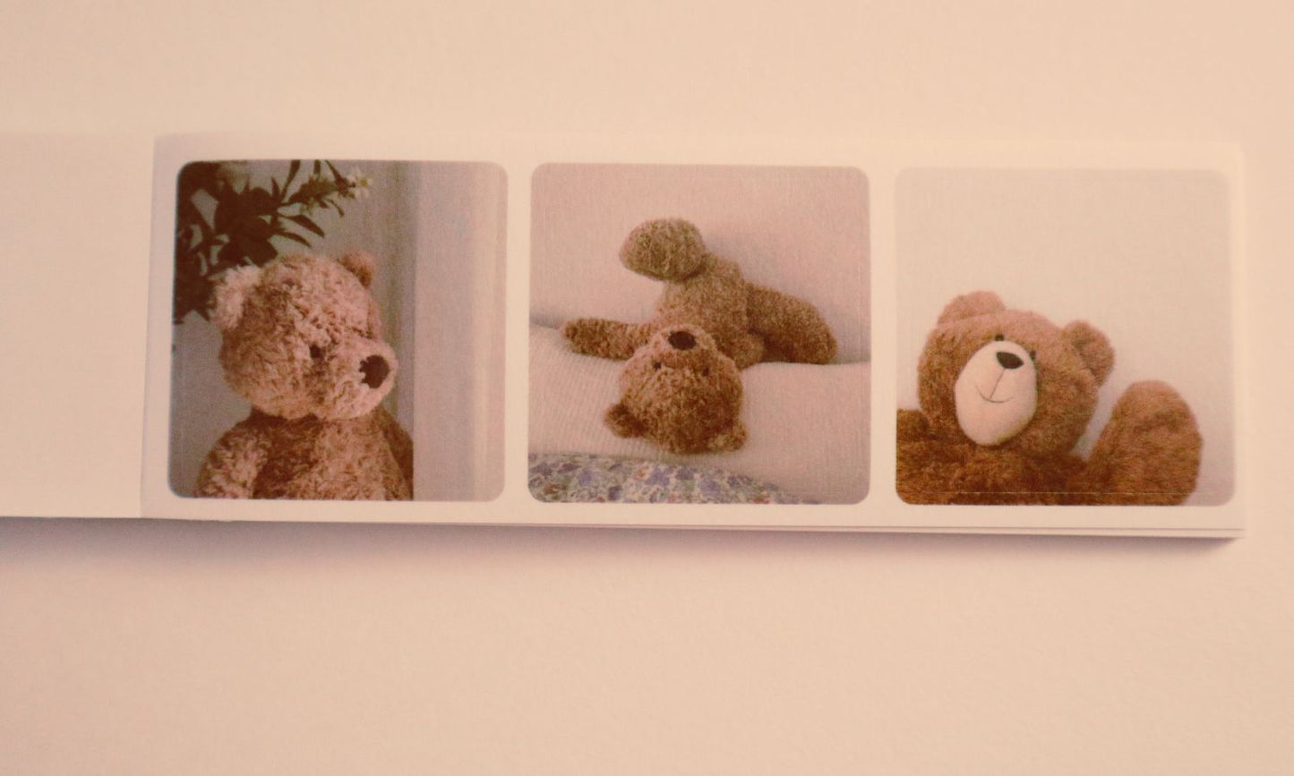 (Brown Theme) Fall Nostalgia Polaroid Sticker Book – Landscape Pad with Whimsical Ephemera Photo Stills