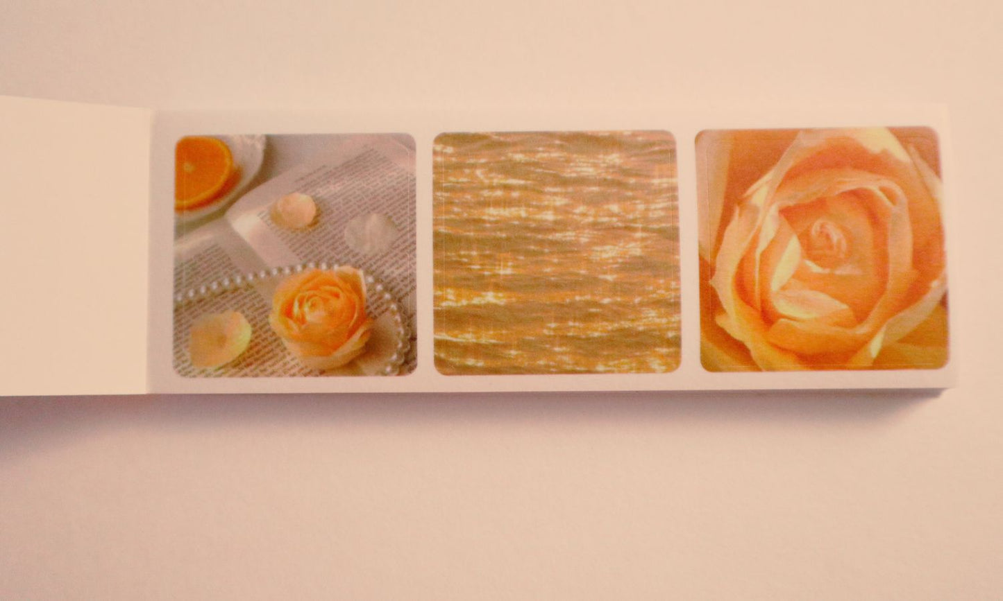 (Peach Theme) Fall Nostalgia Polaroid Sticker Book – Landscape Pad with Whimsical Ephemera Photo Stills