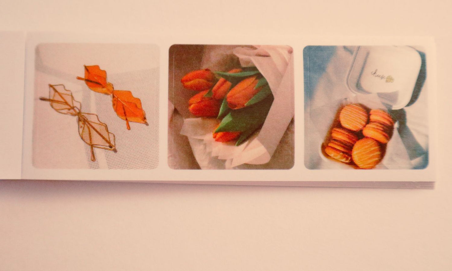 (Peach Theme) Fall Nostalgia Polaroid Sticker Book – Landscape Pad with Whimsical Ephemera Photo Stills