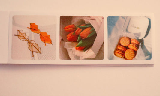 (Peach Theme) Fall Nostalgia Polaroid Sticker Book – Landscape Pad with Whimsical Ephemera Photo Stills