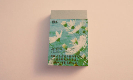 (Green Pastel) Vintage Ephemera Sticker Book & Notepad Set – Scenic Square Photo Book for Scrapbooking & Junk Journal Decor